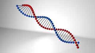 DNA molecules 3d model