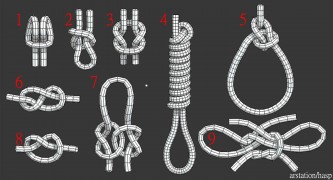 9 knots 3d model