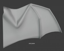 Membraneous wing with surface deform modifier 3d model